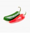 Red & green chilli