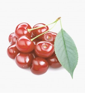 Cherry lorem epsum